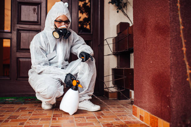 Reliable Cockroach Control contractor in Tucson Estates, AZ by Nex Pest Control