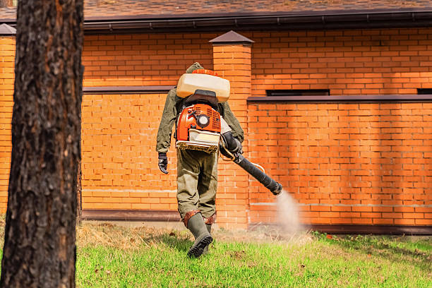 Trusted Emergency Pest Control service in Tucson Estates, AZ - Nex Pest Control